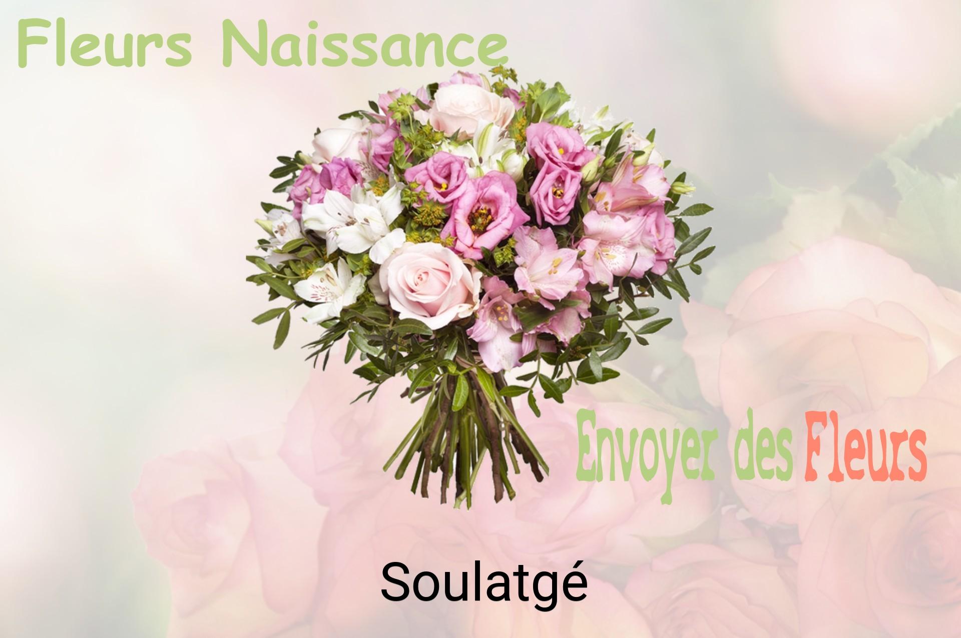 Bouquet de fleurs de naissance livré à Soulatgé