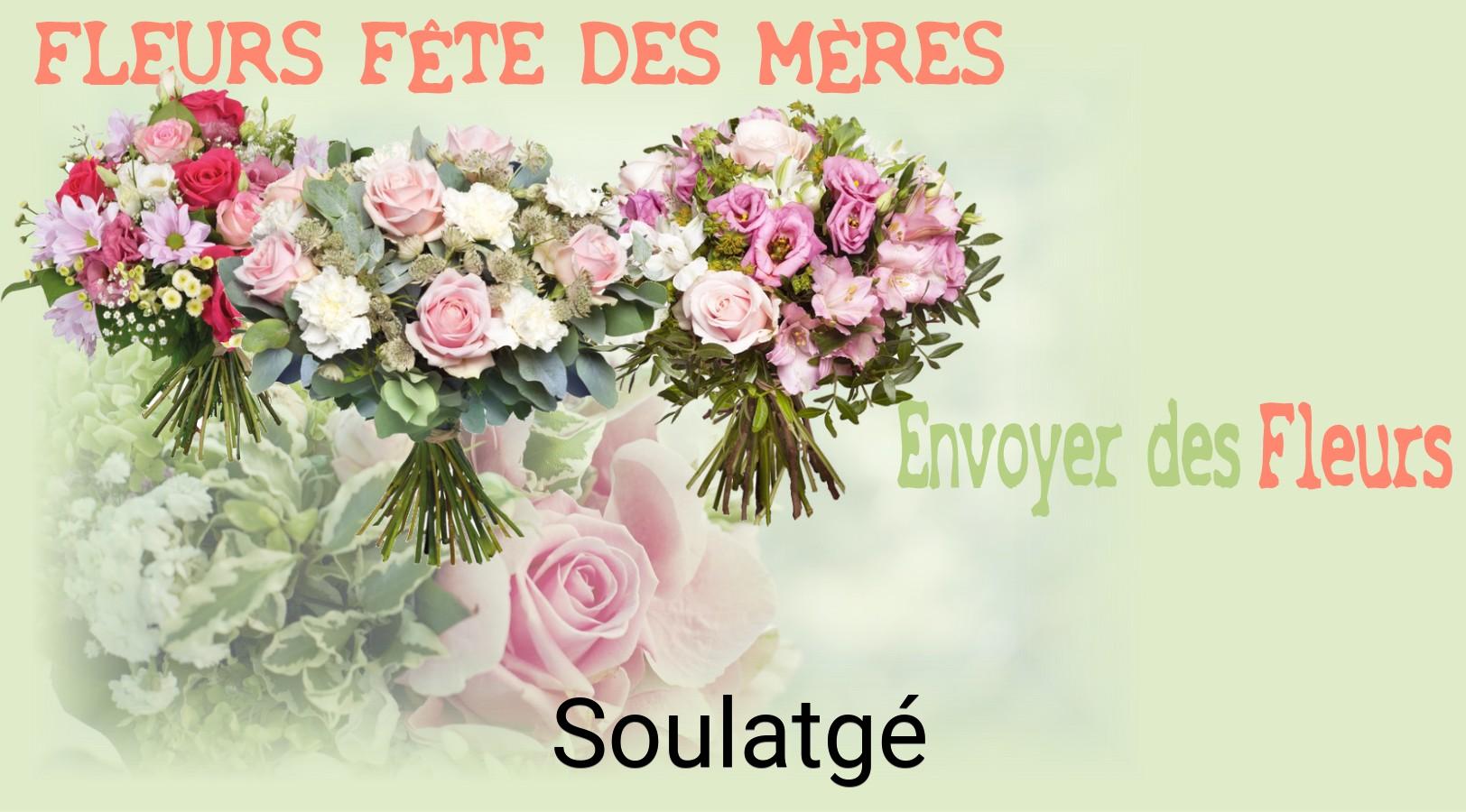 Bouquet de Fête des Mères livré à Soulatgé